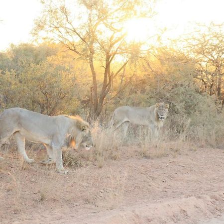 Kwalata Game Lodge Klipdrift Exteriör bild