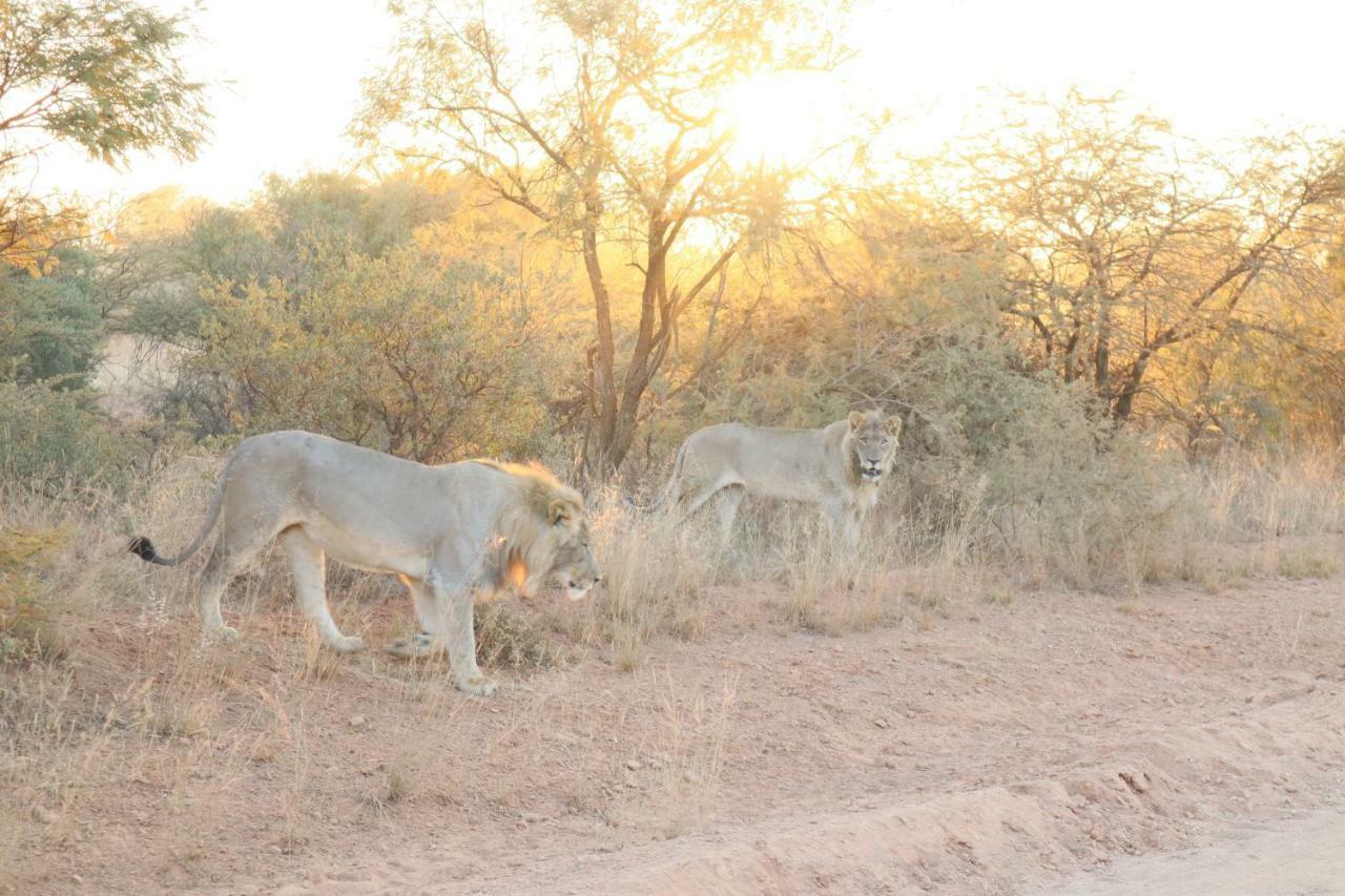 Kwalata Game Lodge Klipdrift Exteriör bild